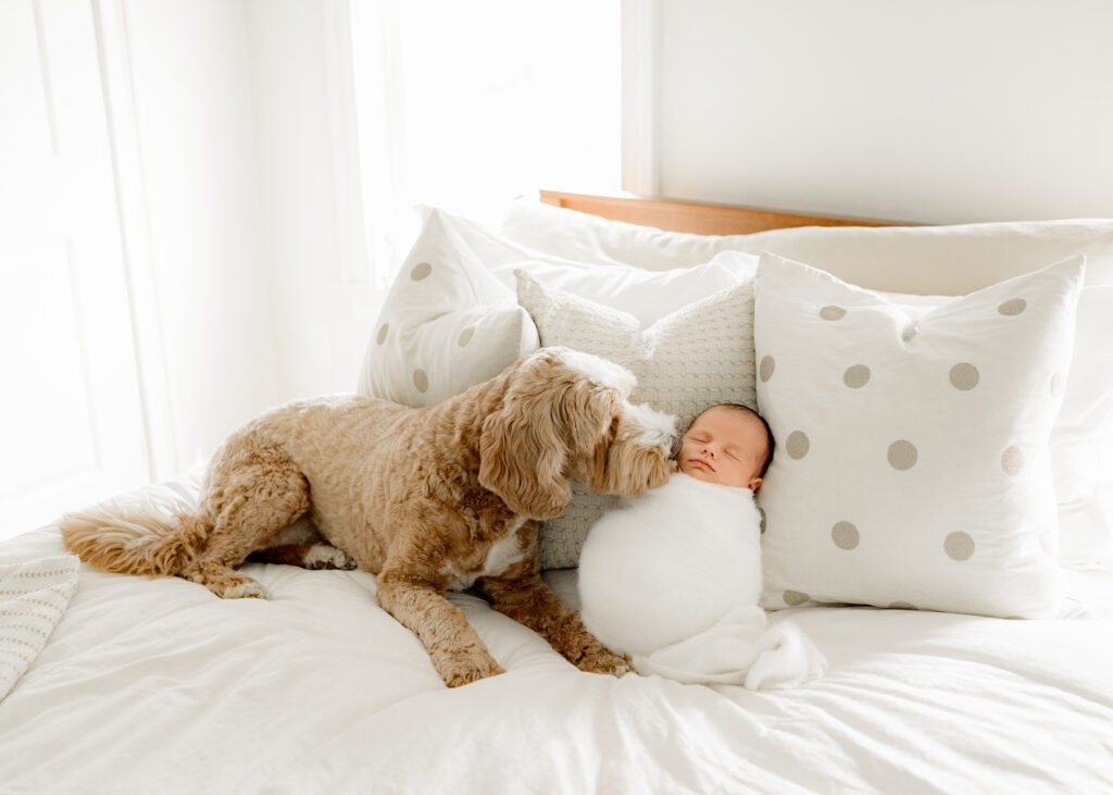 lifestyle-newborn-photography