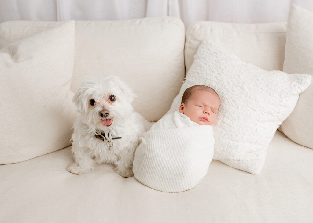 boston-newborn-photographer