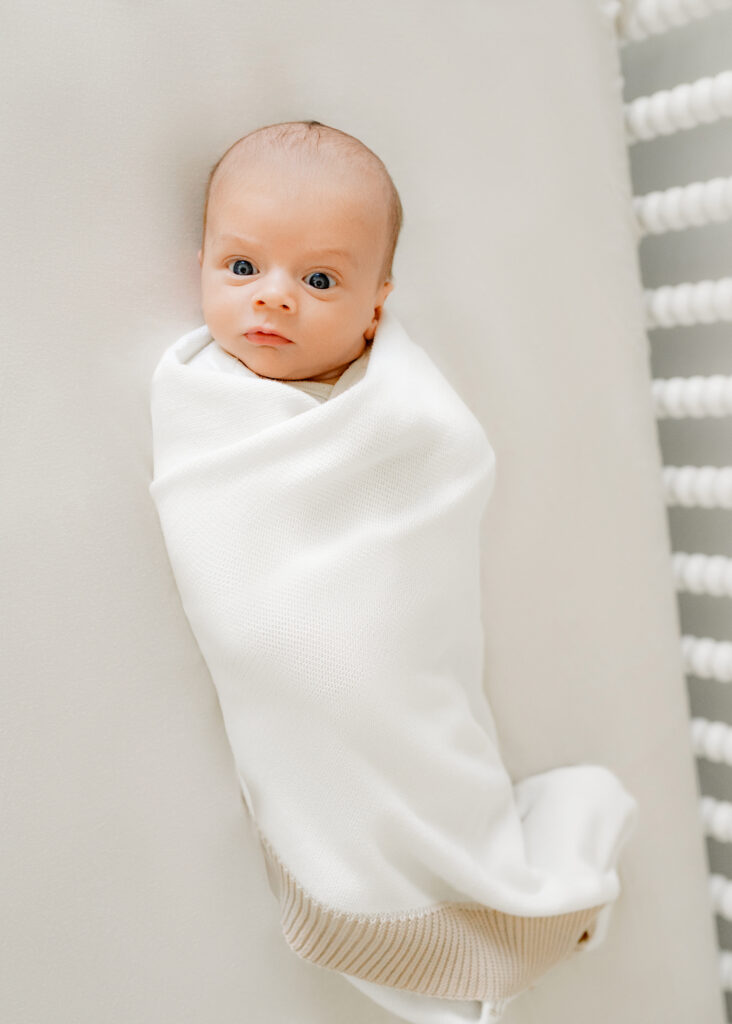 newborn photographer boston